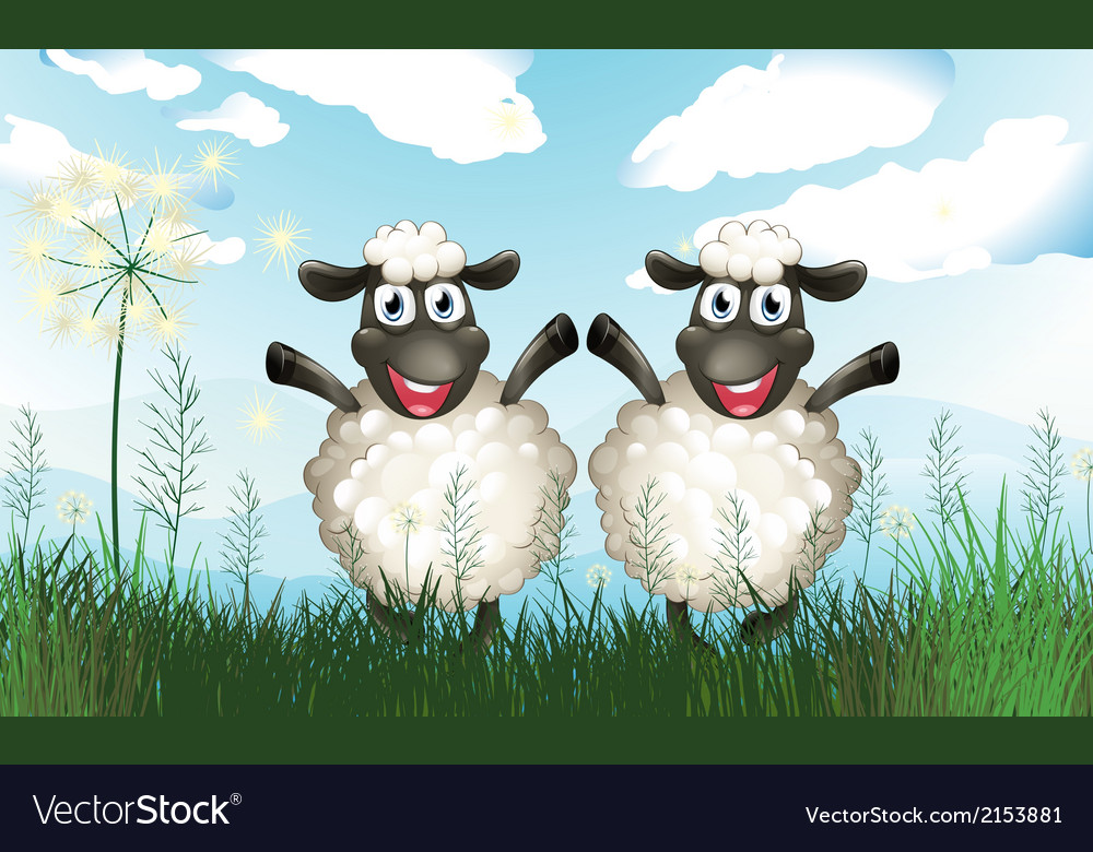 Detail Two Sheeps Nomer 4