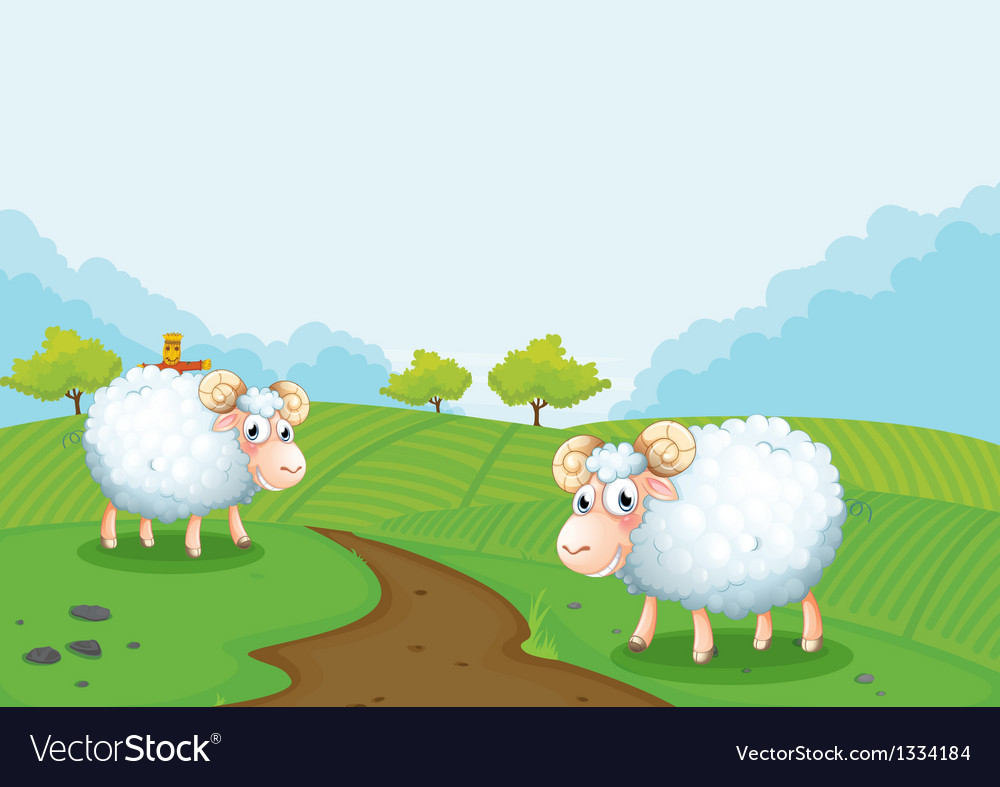 Detail Two Sheeps Nomer 10