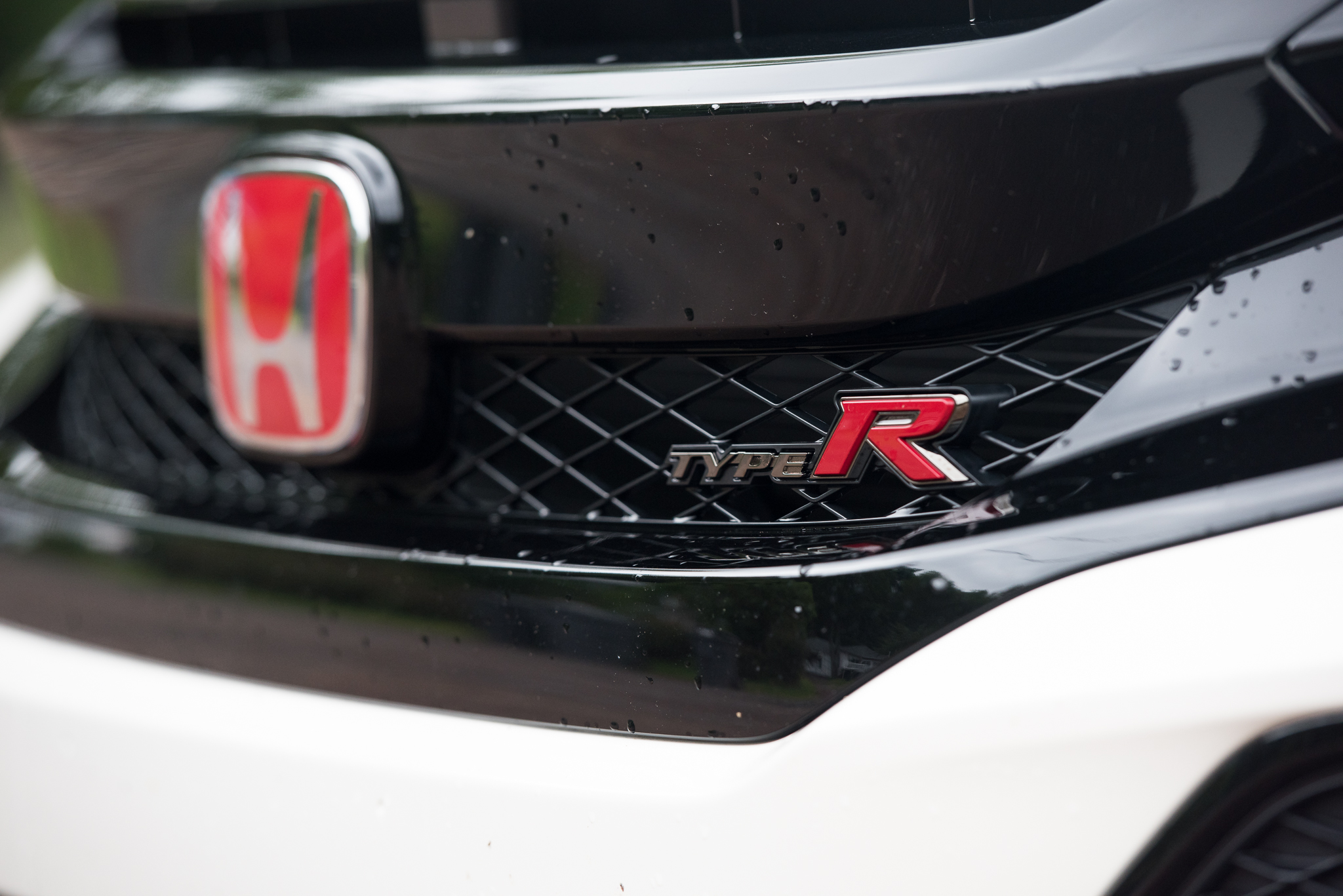 Detail Type R Logo Nomer 41