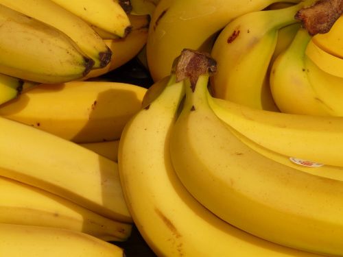 Detail Types Of Bananas Pictures Nomer 21