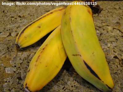 Detail Types Of Bananas Pictures And Names Nomer 21
