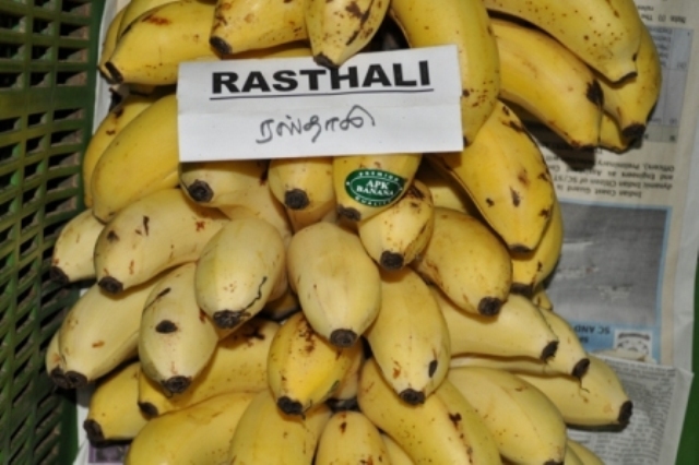 Detail Types Of Bananas Pictures And Names Nomer 25