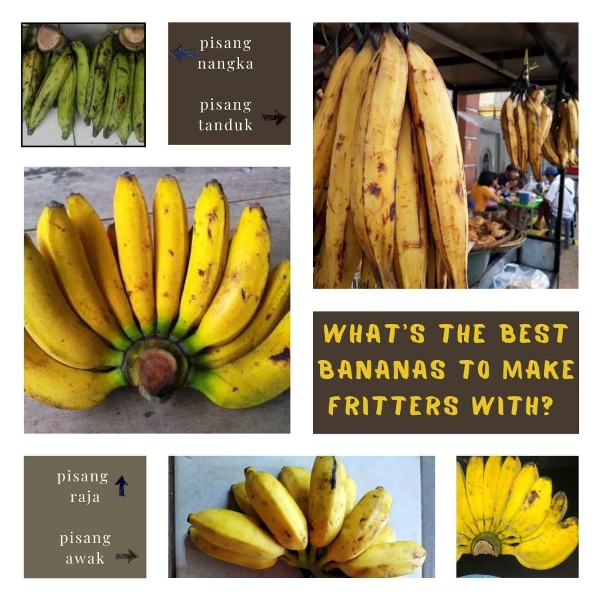 Detail Types Of Bananas Pictures And Names Nomer 27