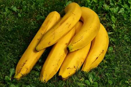 Detail Types Of Bananas Pictures And Names Nomer 29