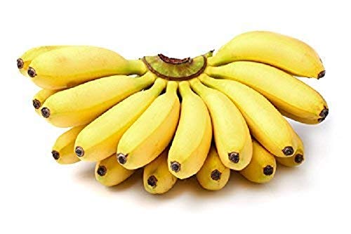 Detail Types Of Bananas Pictures And Names Nomer 47