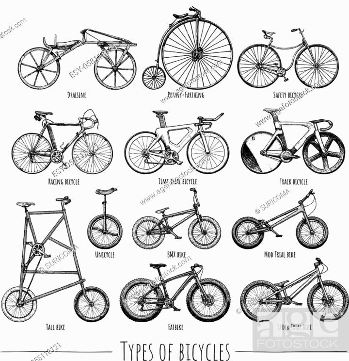 Detail Types Of Bicycles Pictures Nomer 26