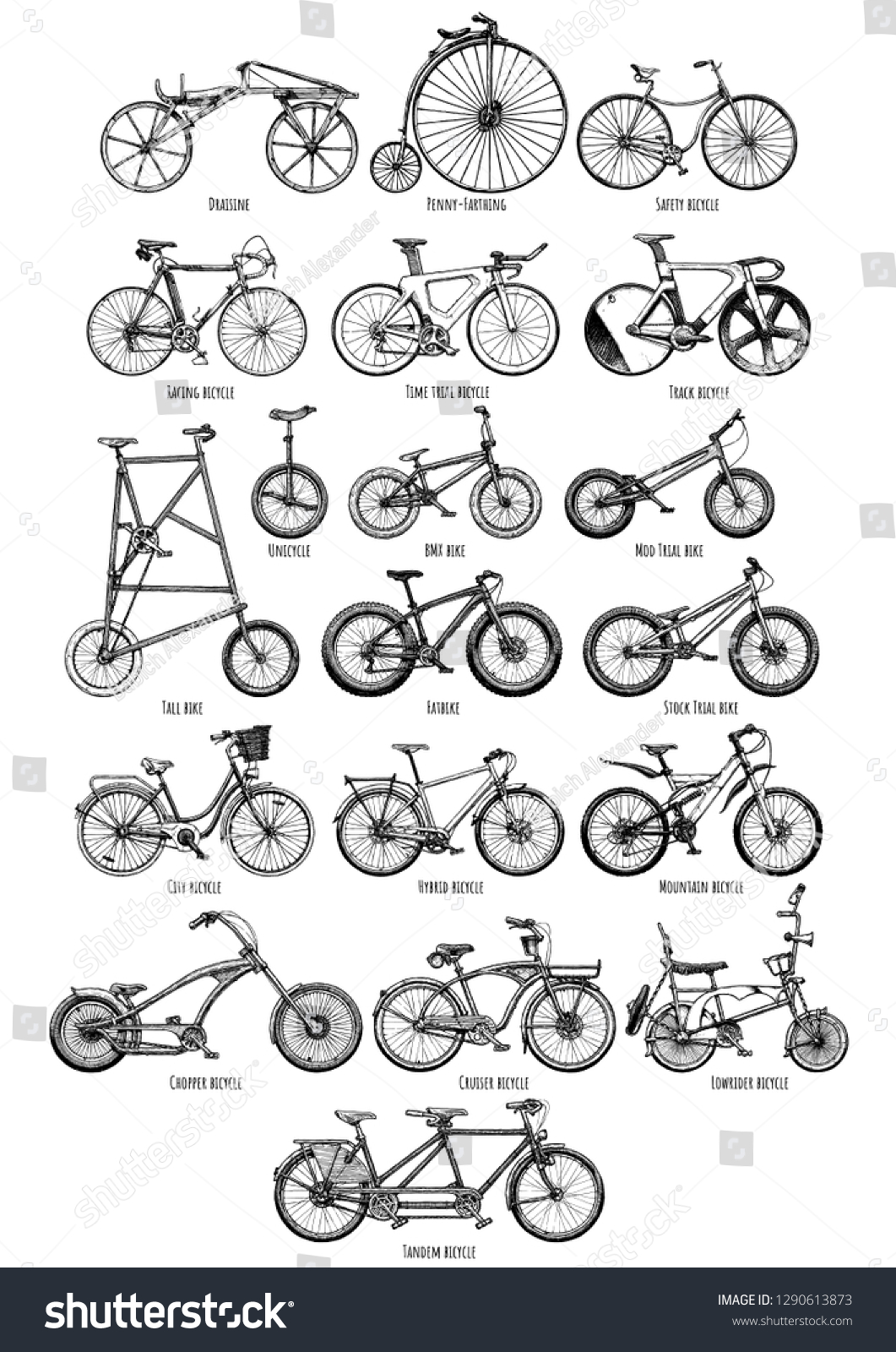 Detail Types Of Bicycles Pictures Nomer 6