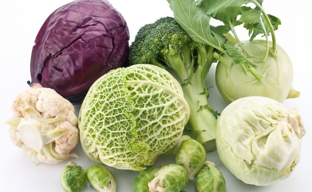 Detail Types Of Cabbage Images Nomer 54