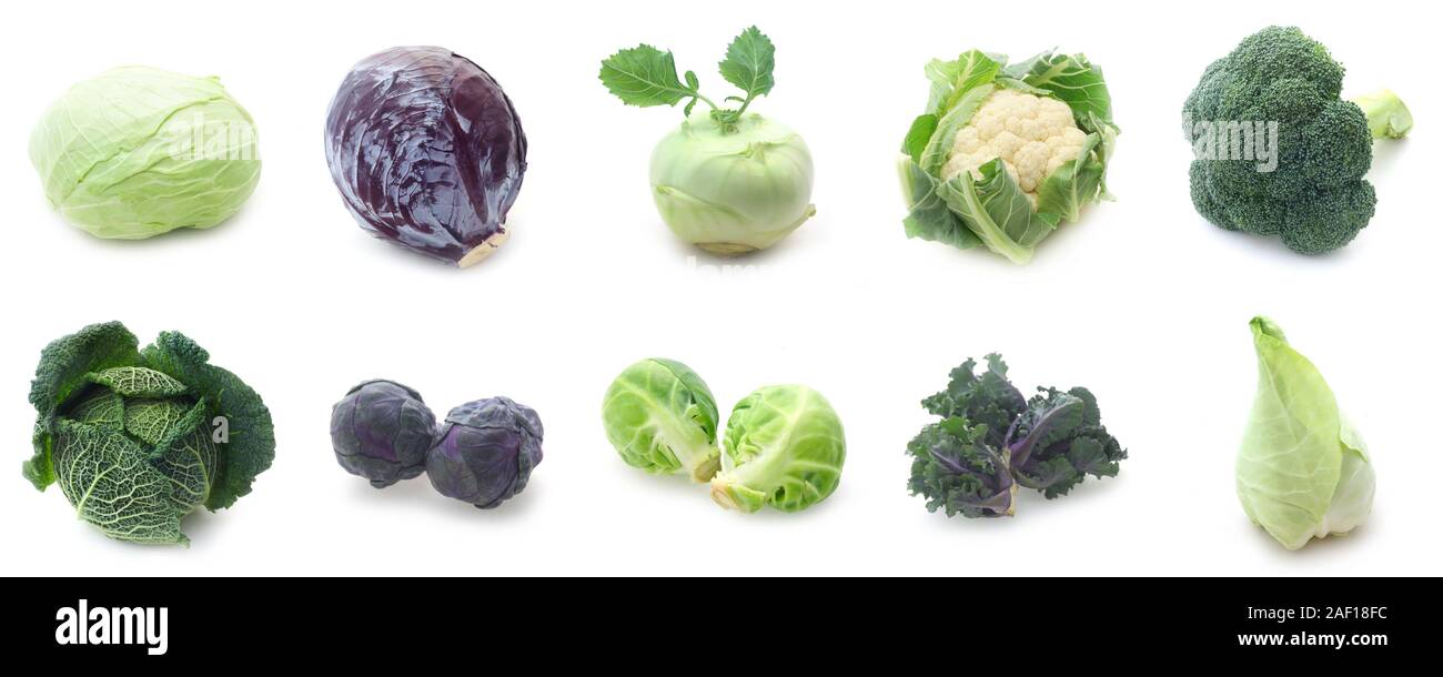 Detail Types Of Cabbage Pictures Nomer 22