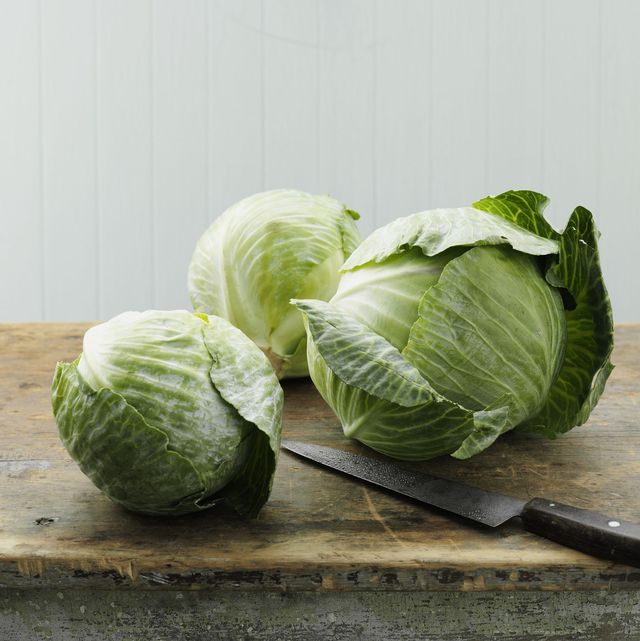 Detail Types Of Cabbage Pictures Nomer 25