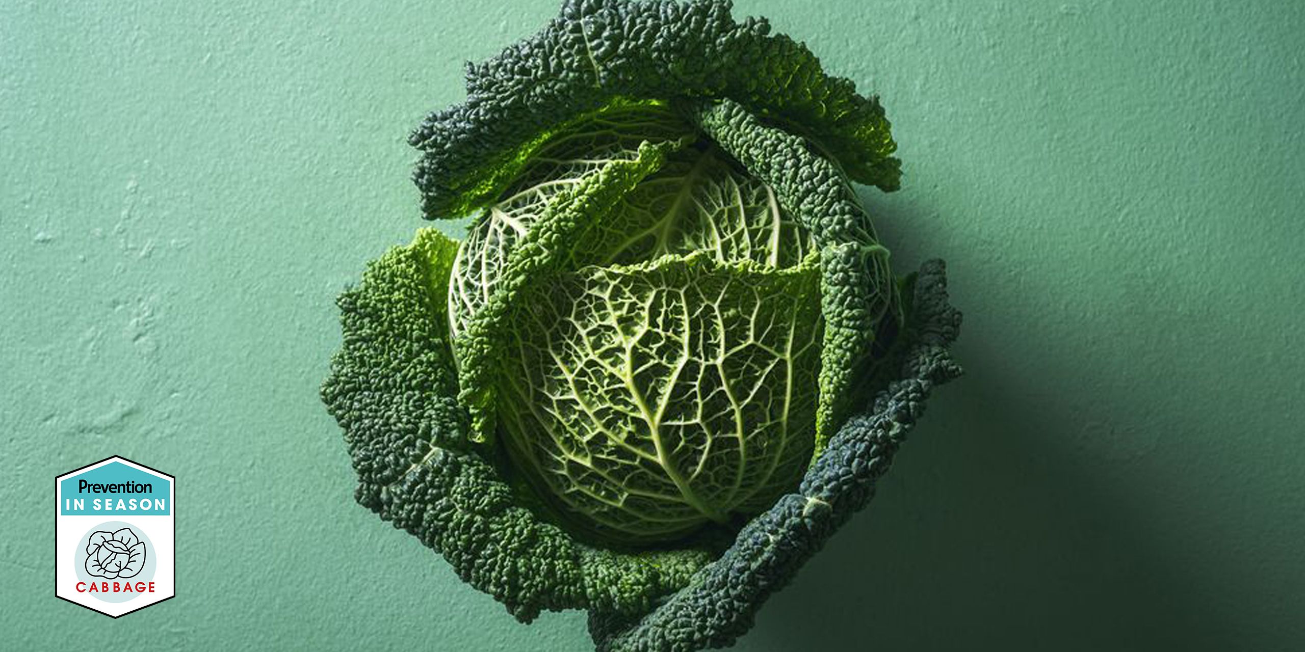 Detail Types Of Cabbage Pictures Nomer 35