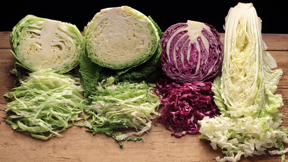 Detail Types Of Cabbage Pictures Nomer 42