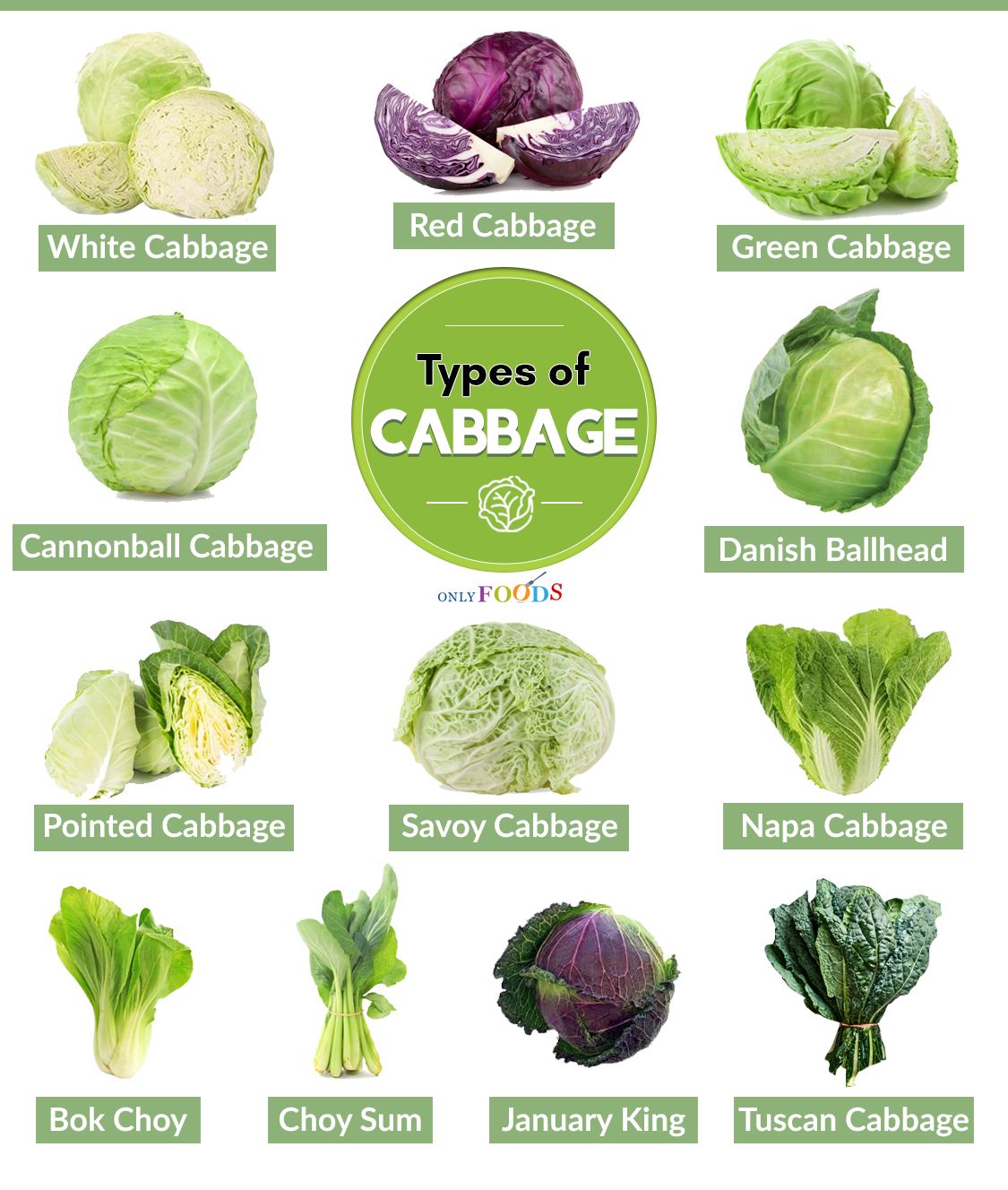 Types Of Cabbages Images - KibrisPDR