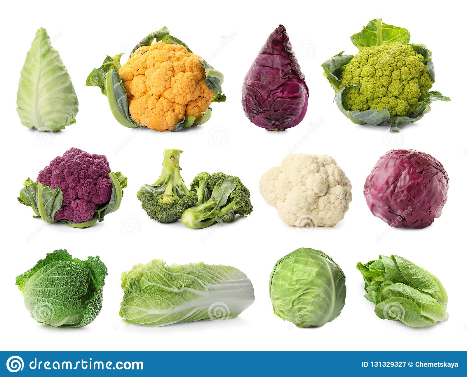 Detail Types Of Cabbages Images Nomer 11