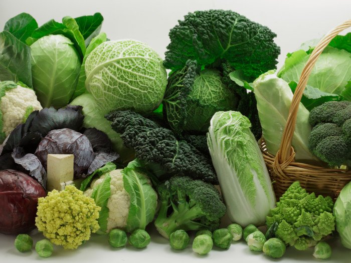 Detail Types Of Cabbages Images Nomer 12