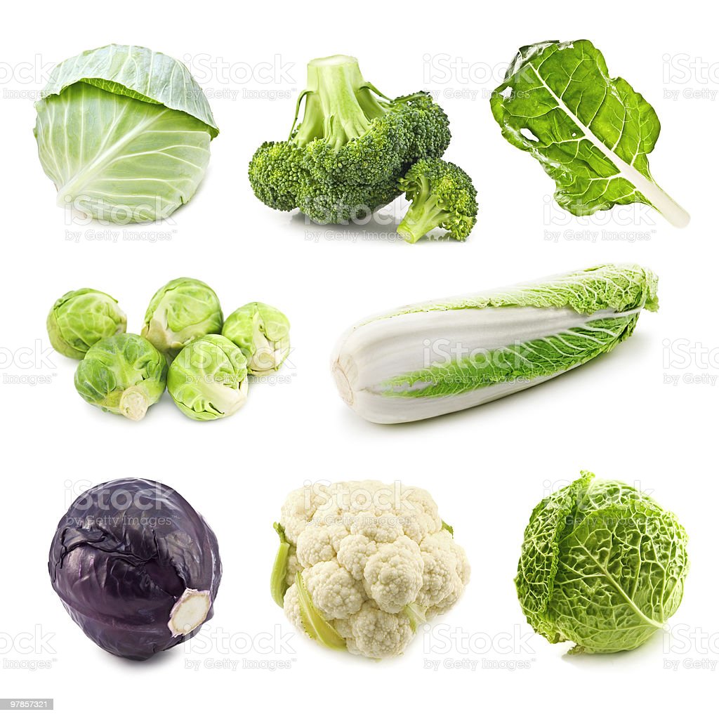 Detail Types Of Cabbages Images Nomer 16