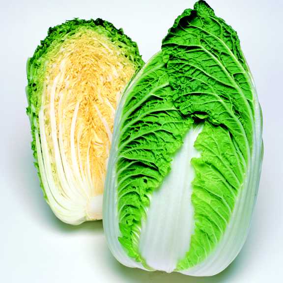 Detail Types Of Cabbages Images Nomer 18