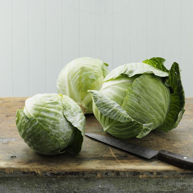 Detail Types Of Cabbages Images Nomer 20