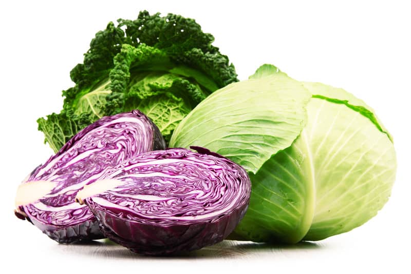 Detail Types Of Cabbages Images Nomer 21