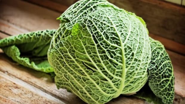 Detail Types Of Cabbages Images Nomer 24