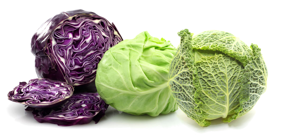 Detail Types Of Cabbages Images Nomer 25