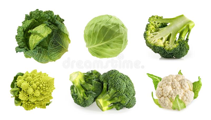 Detail Types Of Cabbages Images Nomer 28
