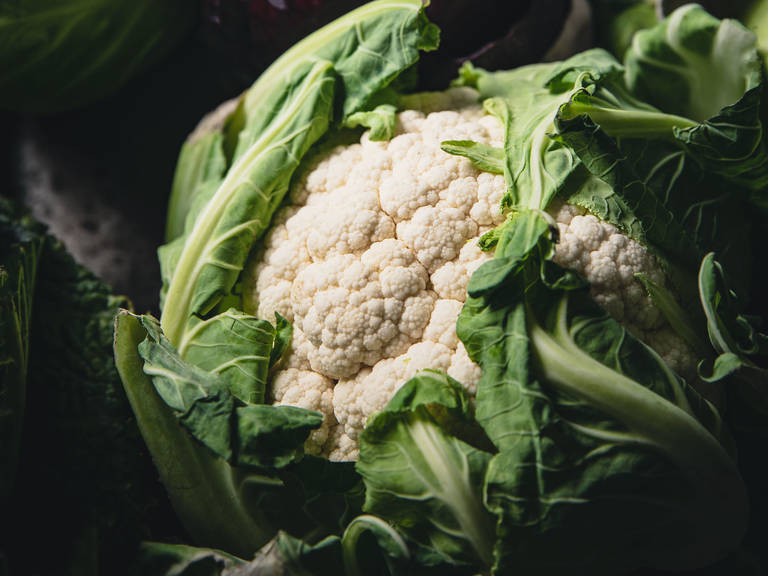 Detail Types Of Cabbages Images Nomer 37
