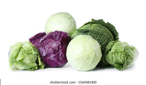 Detail Types Of Cabbages Images Nomer 44