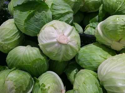 Detail Types Of Cabbages Images Nomer 50