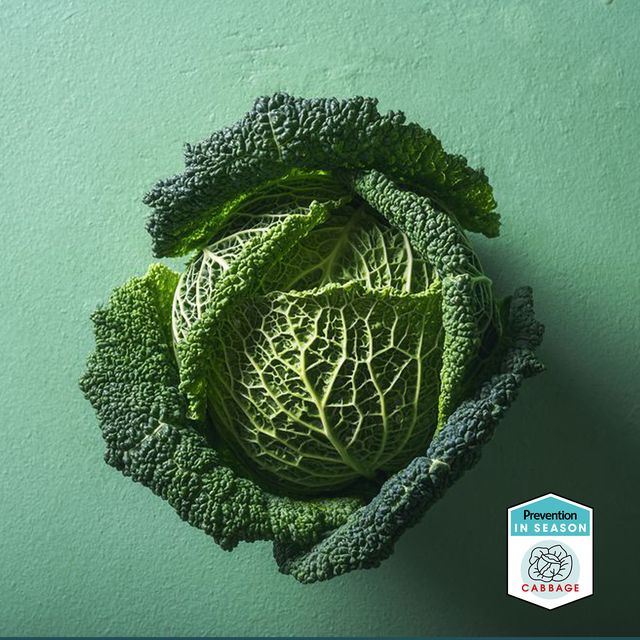 Detail Types Of Cabbages Images Nomer 51