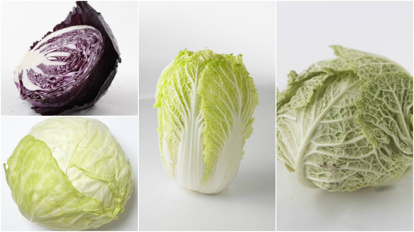 Detail Types Of Cabbages Pictures Nomer 12