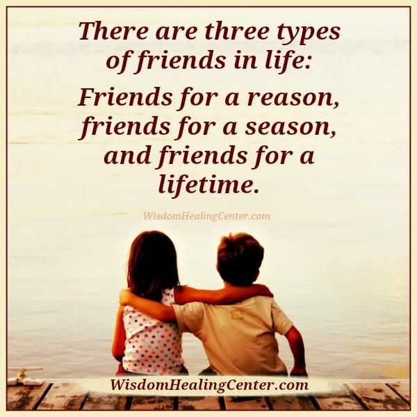 Download Types Of Friends Quotes Nomer 14