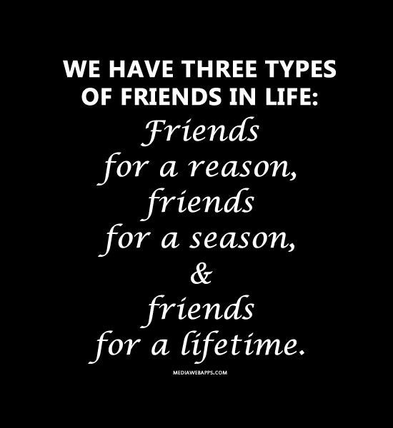 Detail Types Of Friends Quotes Nomer 4