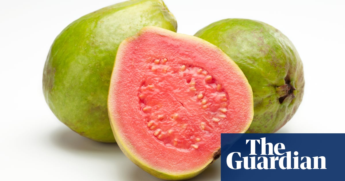 Detail Types Of Guava Pictures Nomer 12
