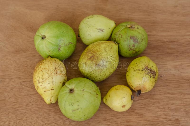 Detail Types Of Guava Pictures Nomer 13