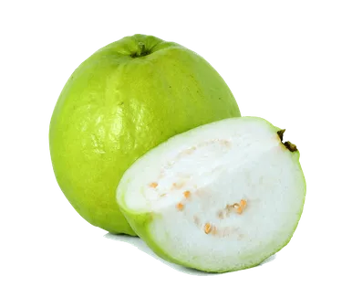 Detail Types Of Guava Pictures Nomer 16