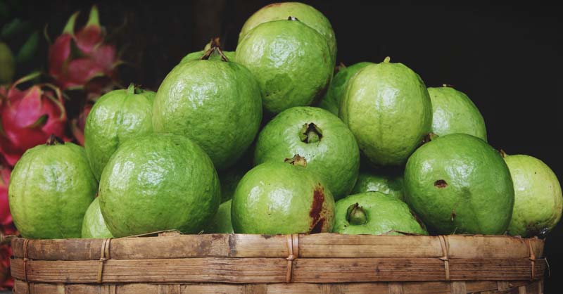 Detail Types Of Guava Pictures Nomer 21