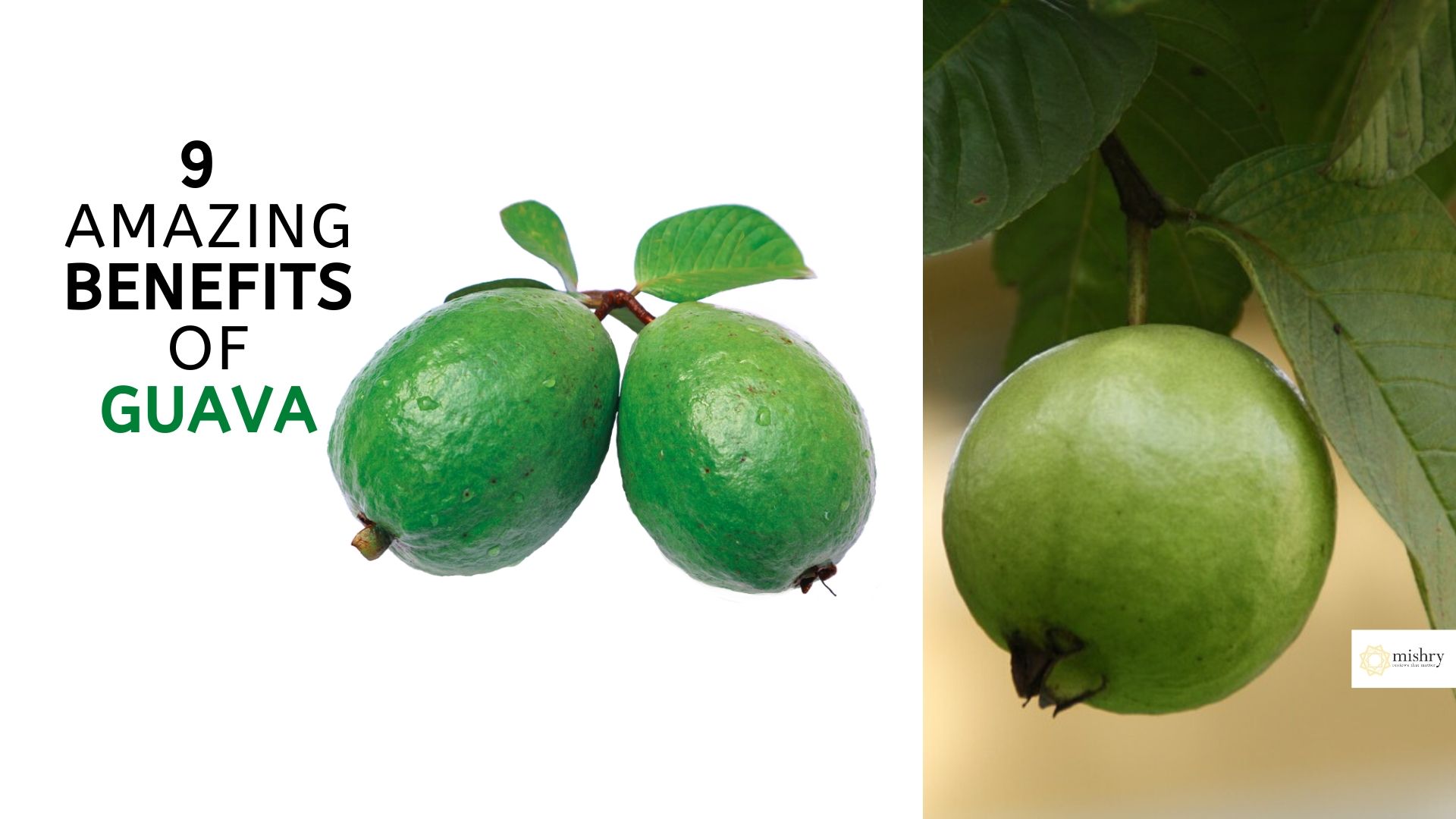 Detail Types Of Guava Pictures Nomer 24