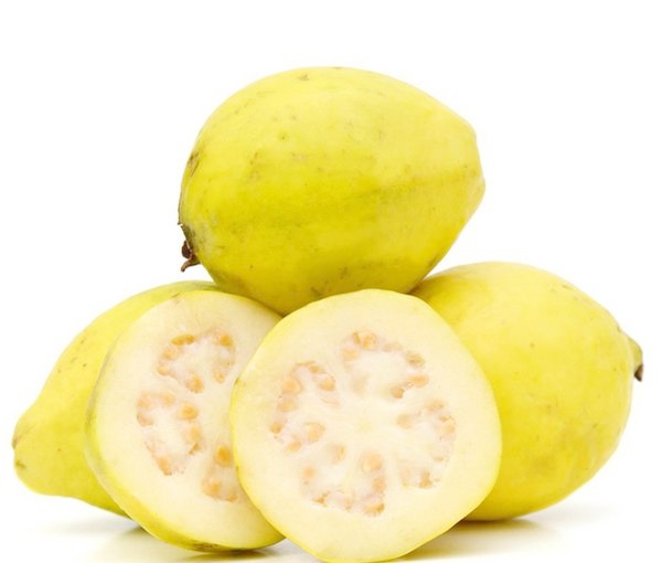 Detail Types Of Guava Pictures Nomer 25