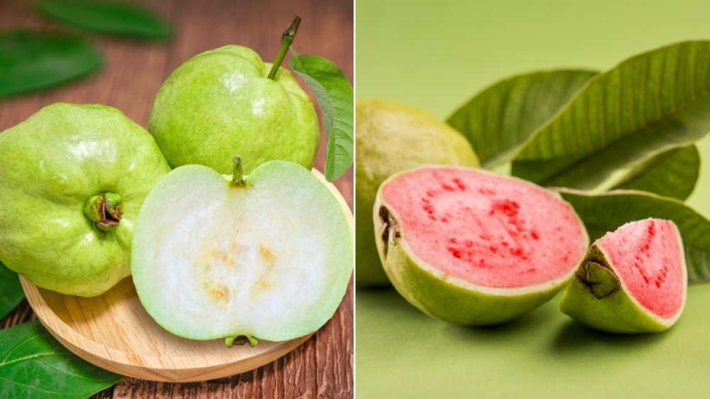 Detail Types Of Guava Pictures Nomer 41