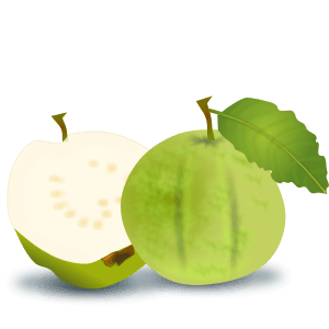 Detail Types Of Guava Pictures Nomer 42