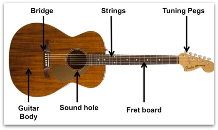 Detail Types Of Guitars With Pictures Nomer 10