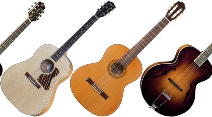 Detail Types Of Guitars With Pictures Nomer 21