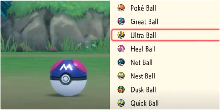Detail Types Of Poke Balls Nomer 20