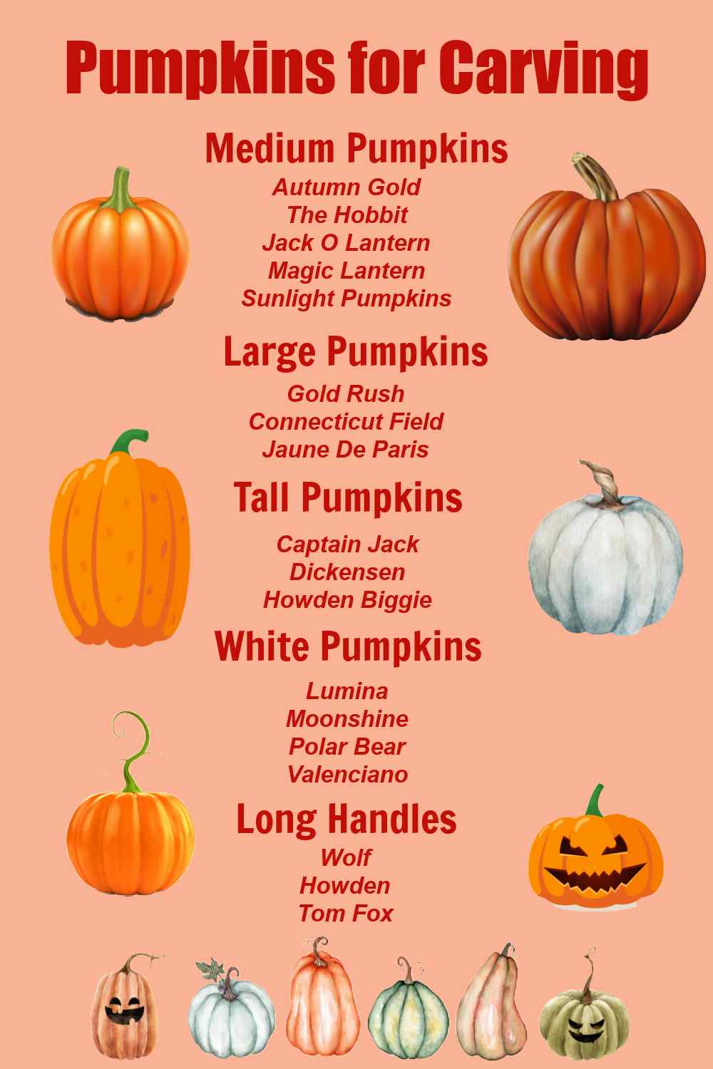 Detail Types Of Pumpkin With Pictures Nomer 39