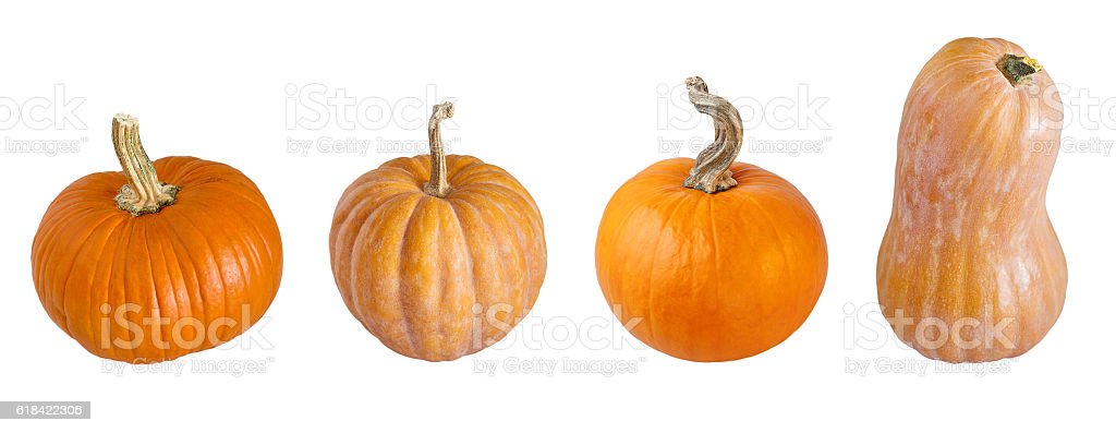 Detail Types Of Pumpkin With Pictures Nomer 49