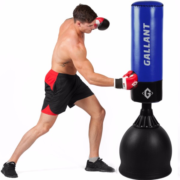 Detail Types Of Punch Bag Nomer 18