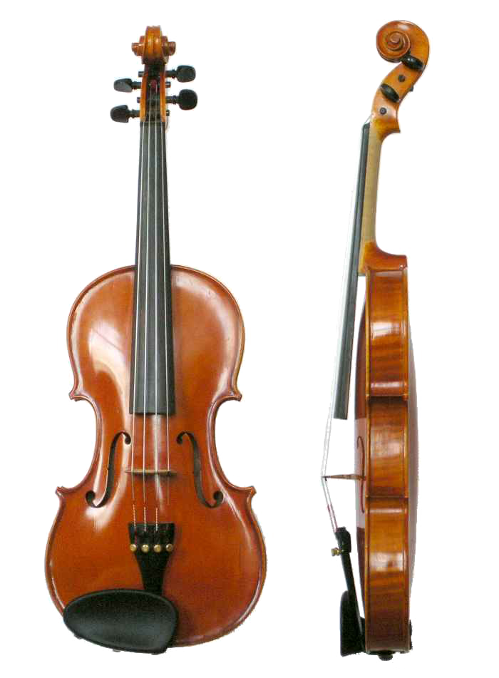 Detail Types Of Violins With Pictures Nomer 12