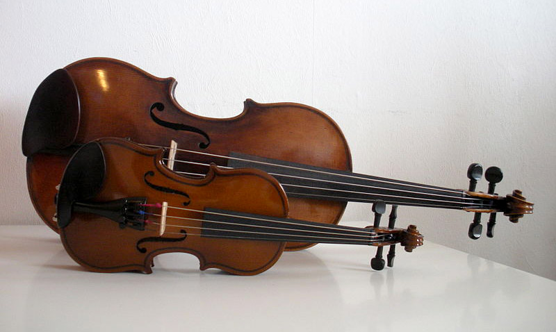 Detail Types Of Violins With Pictures Nomer 5