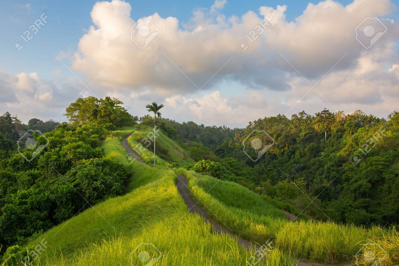 Detail Ubud Wallpaper Nomer 24